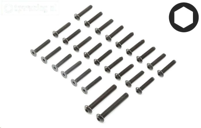 LOS250020 LOSI DBXL-E Rol beugel schroeven, Set