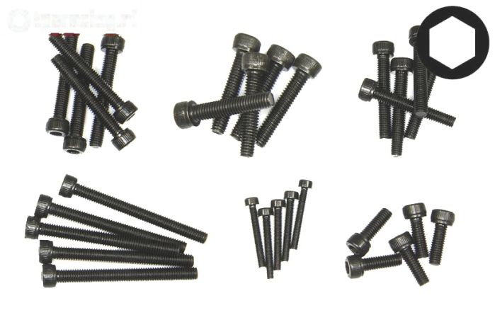 LOS255001 LOSI Inbus normale kop Sorti, Set