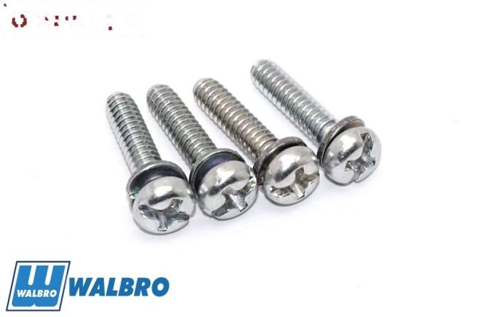 ZN0089 Walbro pomphouder schroef, 4 st.