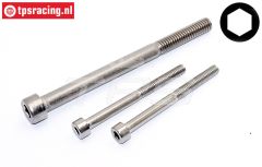 FG6183/02 RVS Inbus normale kop M4-M6 mm, Set