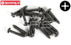 FG6714/16 Kruiskop parker bol kop Ø2,9-L16 mm, 15 St.