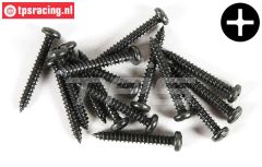 FG6714/19 Kruis bolkop parker Ø2,9-L19 mm, 15 St.