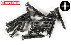 FG6714/22 Kruis bolkop parker Ø2,9-L22 mm, 15 St.