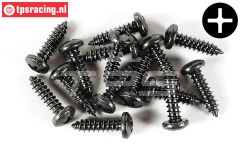 FG6716/09 Kruis bolkop parker Ø4,2-L9 mm, 15 St.