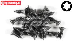 FG6912/13 Torx parker verz. kop Ø4,2-L13 mm, 20 St.