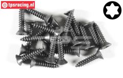 FG6912/19 Torx parker verz. kop Ø4,2-L19 mm, 20 St.