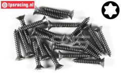 FG6912/22 Torx parker verz. kop Ø4,2-L22 mm, 20 St.