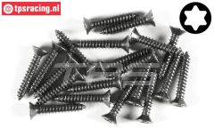 FG6912/25 Torx parker verz. kop Ø4,2-L25 mm, 20 St.