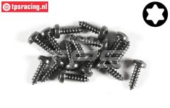 FG6914/09 Torx bolkop parker Ø2,9-L9 mm, 15 St.