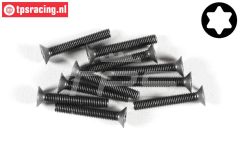 FG6918/20 Torx verzonken kop M3-L20 mm, 10 St.