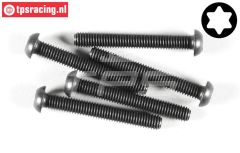 FG6927/45 Torx bolkop M6-L45 mm, 5 St.