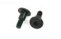 BWS56046 Servo-Saver strip schroef BWS-LOSI, 2 st.