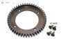FG6048 1/5 Differentieel tandwiel 48T-B8, 1 St.