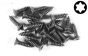 FG6912/16 Torx parker verz. kop Ø4,2-L16 mm, 20 St.