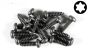 FG6916/13 Torx bolkop parker Ø4,2-L13 mm, 15 St.