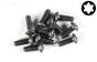 FG6926/16 Torx bolkop M5-L16 mm, 10 St.