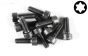 FG6932/12 Torx normale kop M4-L12 mm, 10 St.