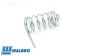ZN0079 Walbro gas klep veer, 1 st.
