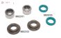 FG8603/01 Differentieel lagerbus Viscose, Set