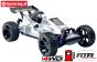 FG62050R Baja Buggy WB535 Sports-Line 4WD RTR