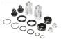 LOS253026 LOSI DBXL 2.0-E 2.0 Schokdemper Fox Zilver, Set