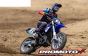 LOS06000T2 Promoto-MX RC Motor Blauw Club MX ARTR