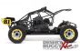LOS05008T2 LOSI DBXL 2.0 Buggy RTR MAGNAFLOW