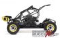 LOS05008T1 LOSI DBXL 2.0 Buggy RTR ICON