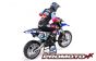 LOS06000T2 Promoto-MX RC Motor Blauw Club MX ARTR