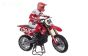 LOS06004T2 Promoto-MX RC Motor Supreme ARTR