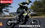 LOS-2272 Promoto-SM RC Supermoto Basic wit ARTR