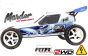 FG6000ER Marder Off-Road Buggy E Brushless 2WD RTR