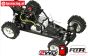 FG6000CZ30RC FG Marder Jubileum Off-Road Buggy 2WD RTR