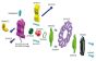 M3000/02 Mecatech Vul-ontluchting nippel M5, 2 st.