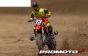 LOS06000T1 Promoto-MX RC Motor Rood FXR ARTR