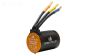 SPMXSM3200 PROMOTO Motor 3652 3800Kv 4-pole, 1 ST.