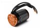 SPMXSM3100 FIRMA 1200kv 1/6 BL Sensor Crawler Motor, 1 st.