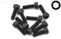 TLR255004 TLR Inbus Normale kop M2,5-L8 mm, 10 st.