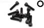 TLR255024 TLR Inbus Normale kop M5-L20 mm, 10 st.