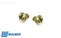 ZN0082 Walbro Carburateur schroef, 2 st.