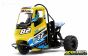 XR83001-02 X-Rider Flamingo Tricycle RTR Geel, Set