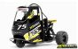 XR83001-04 X-Rider Flamingo Tricycle RTR Zwart, Set