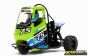 XR83001-03 X-Rider Flamingo Tricycle RTR Groen, Set