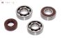 ZN0017S Zenoah Kruk as lager G240-G270-G290, Set