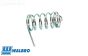 ZN0079/01 Walbro gas klep veer sterk, 1 st.