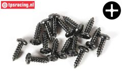 FG6714/13 Kruis bolkop parker Ø2,9-L13 mm, 15 St.