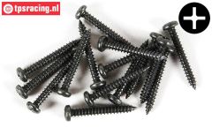 FG6714/22 Kruis bolkop parker Ø2,9-L22 mm, 15 St.