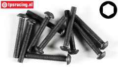 FG6737/20 Inbus bolkop M3-L20 mm, 10 St.