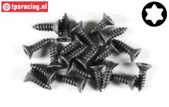 FG6912/13 Torx parker verz. kop Ø4,2-L13 mm, 20 St.