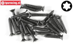 FG6912/22 Torx parker verz. kop Ø4,2-L22 mm, 20 St.